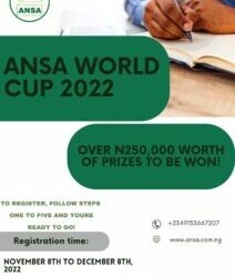 ANSA WORLD CUP 2022: CALL FOR ENTRIES